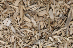 biomass boilers Morecambe